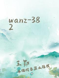 wanz-382