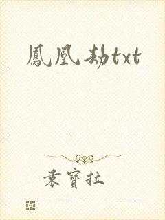 凤凰劫txt