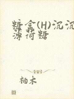 糖盒(H)沉沉薄荷糖