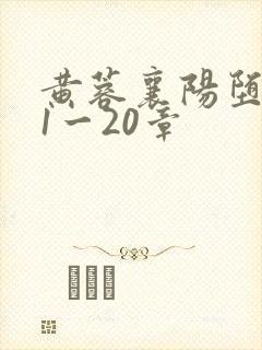 黄蓉襄阳堕落史1一20章