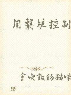 用系统控制女神