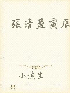 张清盈寅辰小说