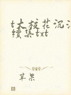 t大校花沉浮录续集txt