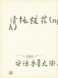清纯校花(nph)