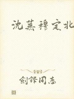 沈芜穆定北小说