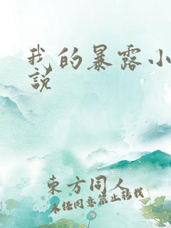 我的暴露小说小说