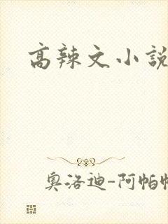高辣文小说