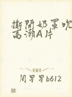 撕开奶罩吮奶头高潮A片