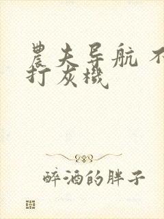 农夫导航 不准打灰机