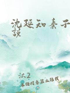 沈延知秦子卿小说