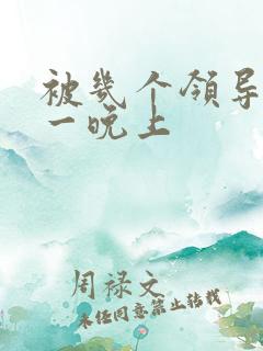 被几个领导玩弄一晚上