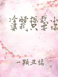 冷酷总裁小小老婆我只要你