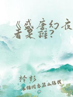 《盛唐幻夜》作者是谁?