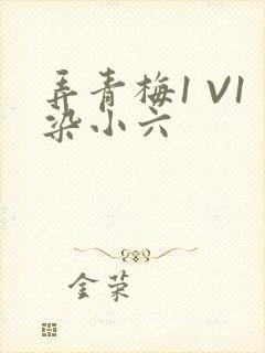 弄青梅1 V1染小六