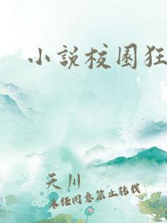 小说校园狂少