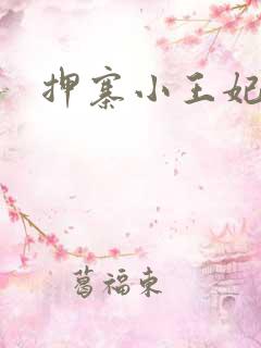 押寨小王妃