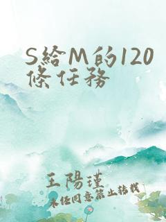 S给M的120条任务
