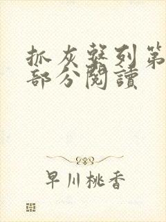 抓灰系列第33部分阅读