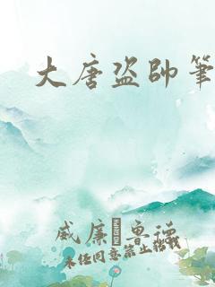 大唐盗帅笔趣阁