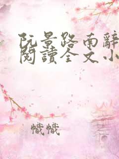 阮景路南辞免费阅读全文小说