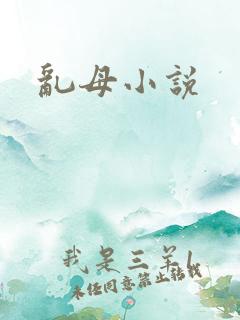 乱母小说
