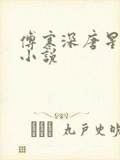 傅寒深唐星挽的小说