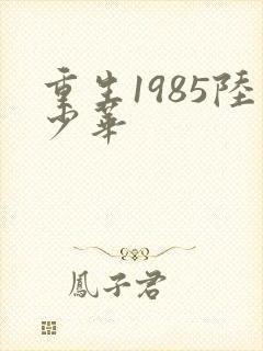 重生1985陆少华