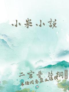 小米小说