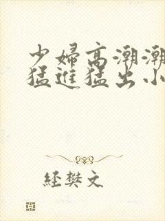 少妇高潮潮喷到猛进猛出小说