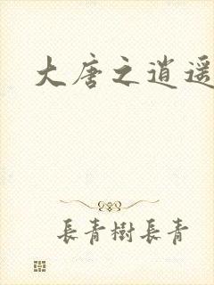 大唐之逍遥王爷