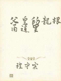 父皇的龙根在我甬道里