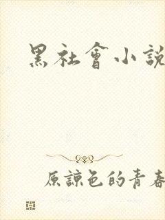 黑社会小说下载