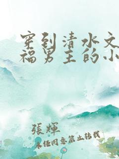 穿到清水文里造福男主的小说