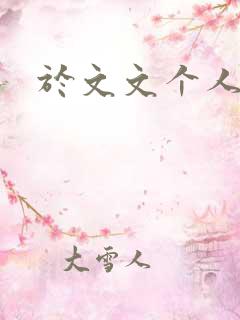 于文文个人简历