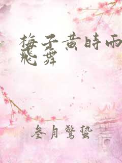 梅子黄时雨流光飞舞