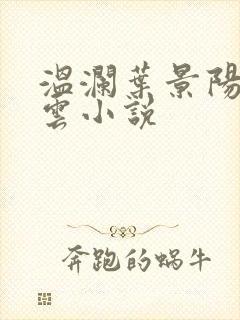 温澜叶景阳温云云小说