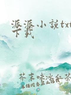 派派小说txt下载