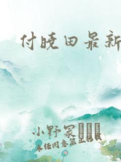 付晓田最新消息