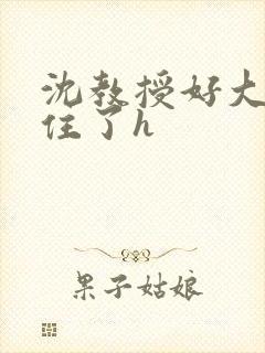 沈教授好大含不住了h