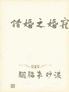 错婚之婚宠一世