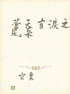 苍天有泪之军人风采