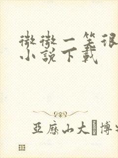 微微一笑很倾城小说下载