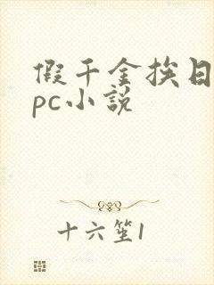 假千金挨日记npc小说