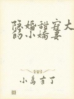 隐婚甜宠大财阀的小娇妻