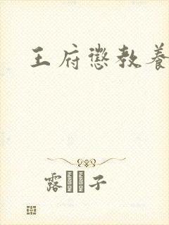 王府惩教养日常