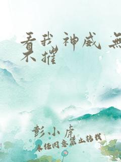 看我神威 无坚不摧