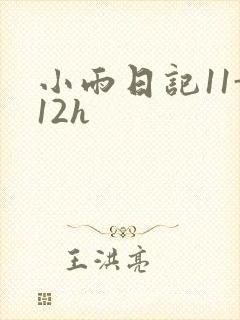 小雨日记11-12h