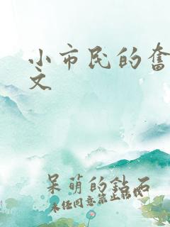 小市民的奋斗燃文