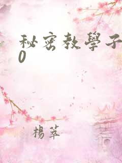 秘密教学子豪40
