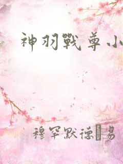 神羽战尊小说
